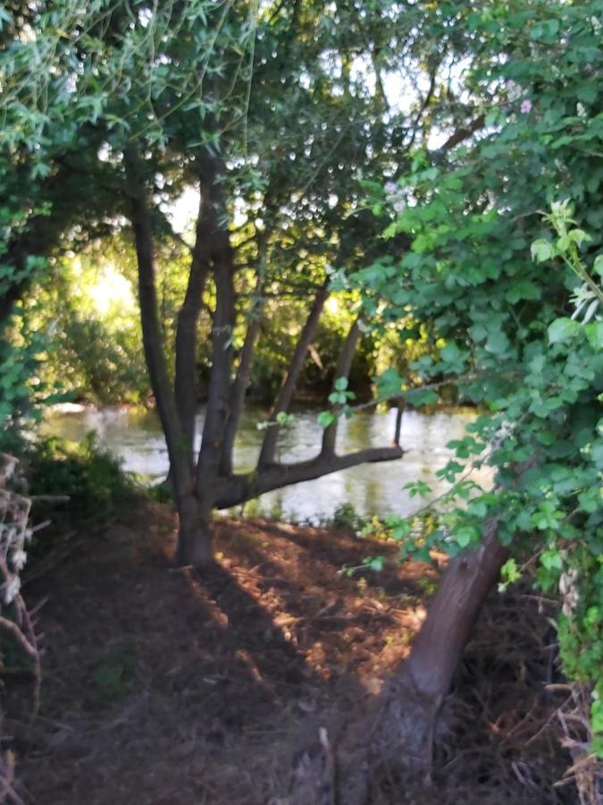 Durmiendo Entre Arboles, Bonita En La Rioja Anguciana